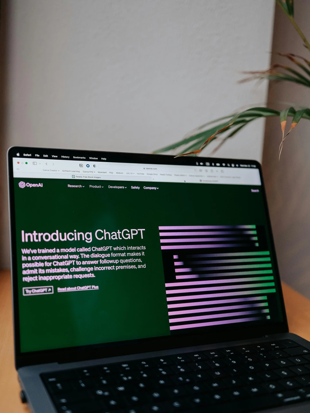 ChatGpt Passo a Passo: Como Usar esta Ferramenta de IA para você em Aliança