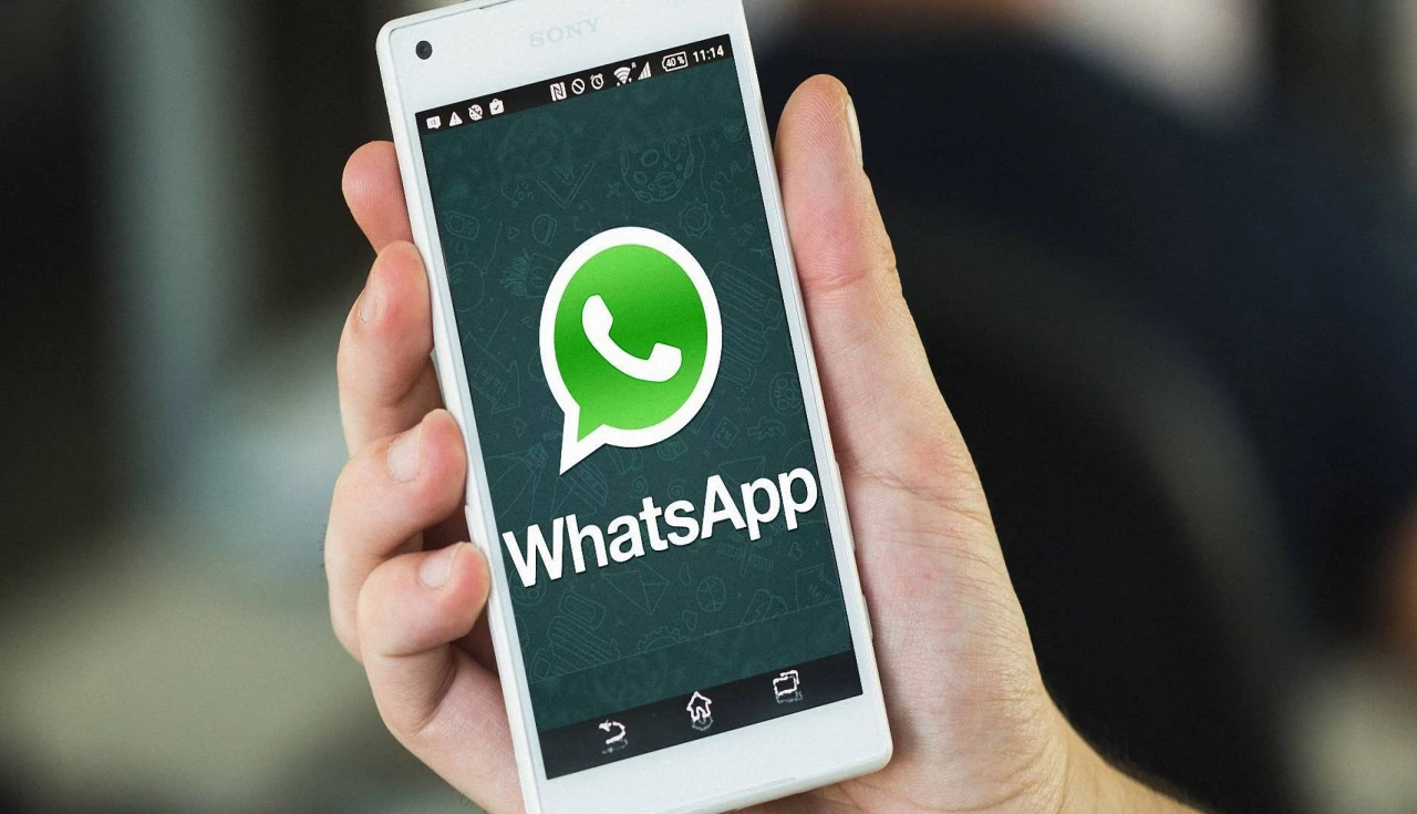whatsapp whatsapp